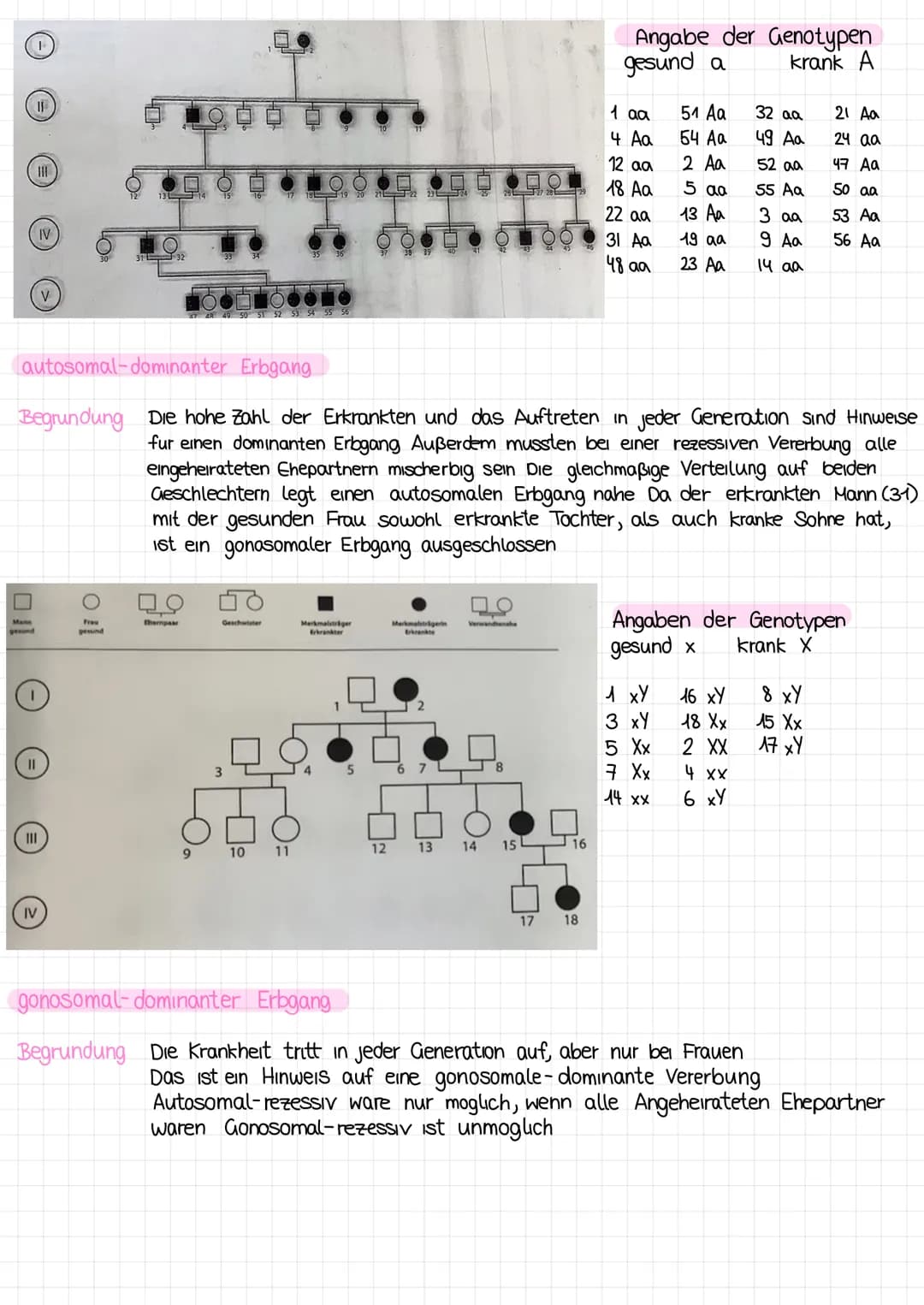 Stammbaumanalyse ALLGEMEINES
Genotyp-Buchstaben
dominant - Großbuchstabe
rezessiv=Kleinbuchstabe
dominanter Erbgang= Auftreten d Krankheit i