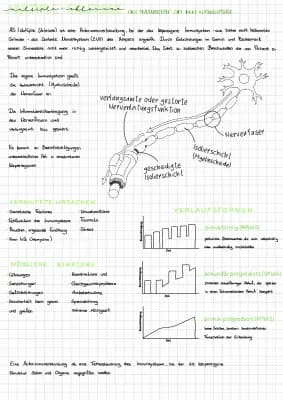 Know Künstlich Intelligenz  thumbnail