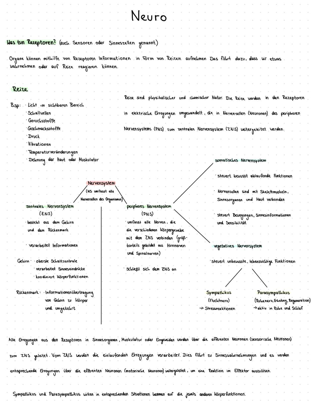 # Neuro

Was tun Rezeptoren? (auch Sensoren oder Sinneszellen genannt)

Organe können mithilfe von Rezeptoren Informationen in Form von Reiz