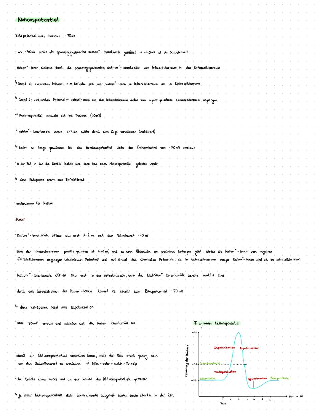 # Neuro

Was tun Rezeptoren? (auch Sensoren oder Sinneszellen genannt)

Organe können mithilfe von Rezeptoren Informationen in Form von Reiz