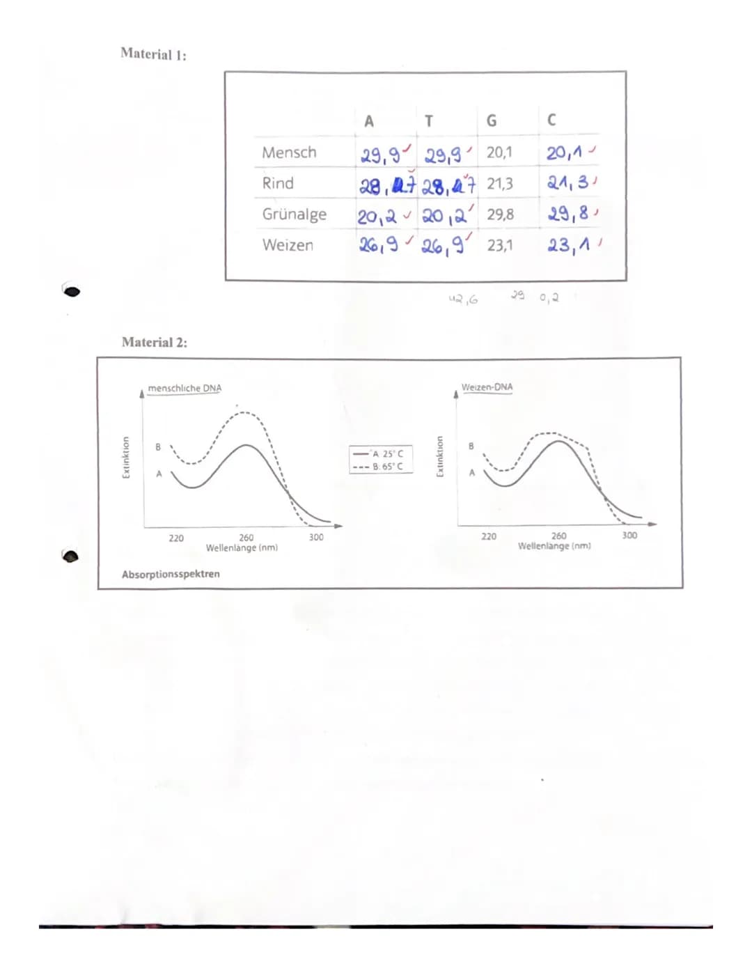 Aufgabe 1:
(Markl Biologie-Lehrerbuch Oberstufe - Klausur Genetik, S.108-109)
✓a) Seit 1947 weiß man, dass die Basenzusammensetzung der DNA 