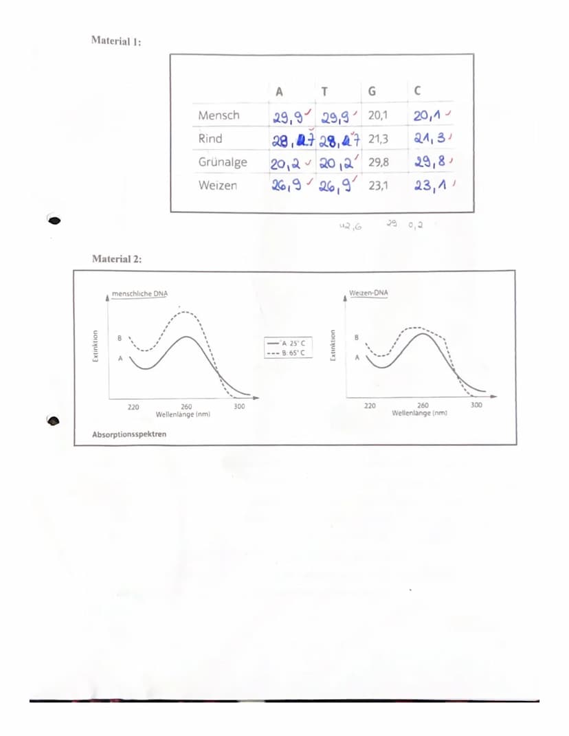 Aufgabe 1:
(Markl Biologie-Lehrerbuch Oberstufe - Klausur Genetik, S.108-109)
✓a) Seit 1947 weiß man, dass die Basenzusammensetzung der DNA 
