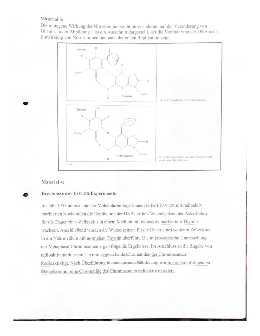 Aufgabe 1:
(Markl Biologie-Lehrerbuch Oberstufe - Klausur Genetik, S.108-109)
✓a) Seit 1947 weiß man, dass die Basenzusammensetzung der DNA 