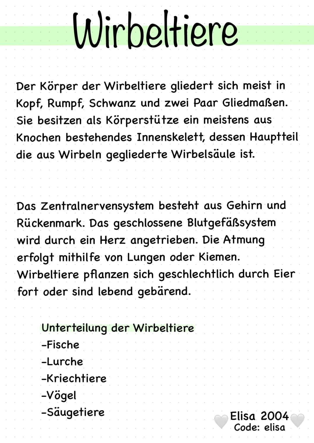 Wirbeltiere
Der Körper der Wirbeltiere gliedert sich meist in
Kopf, Rumpf, Schwanz und zwei Paar Gliedmaßen.
Sie besitzen als Körperstütze e
