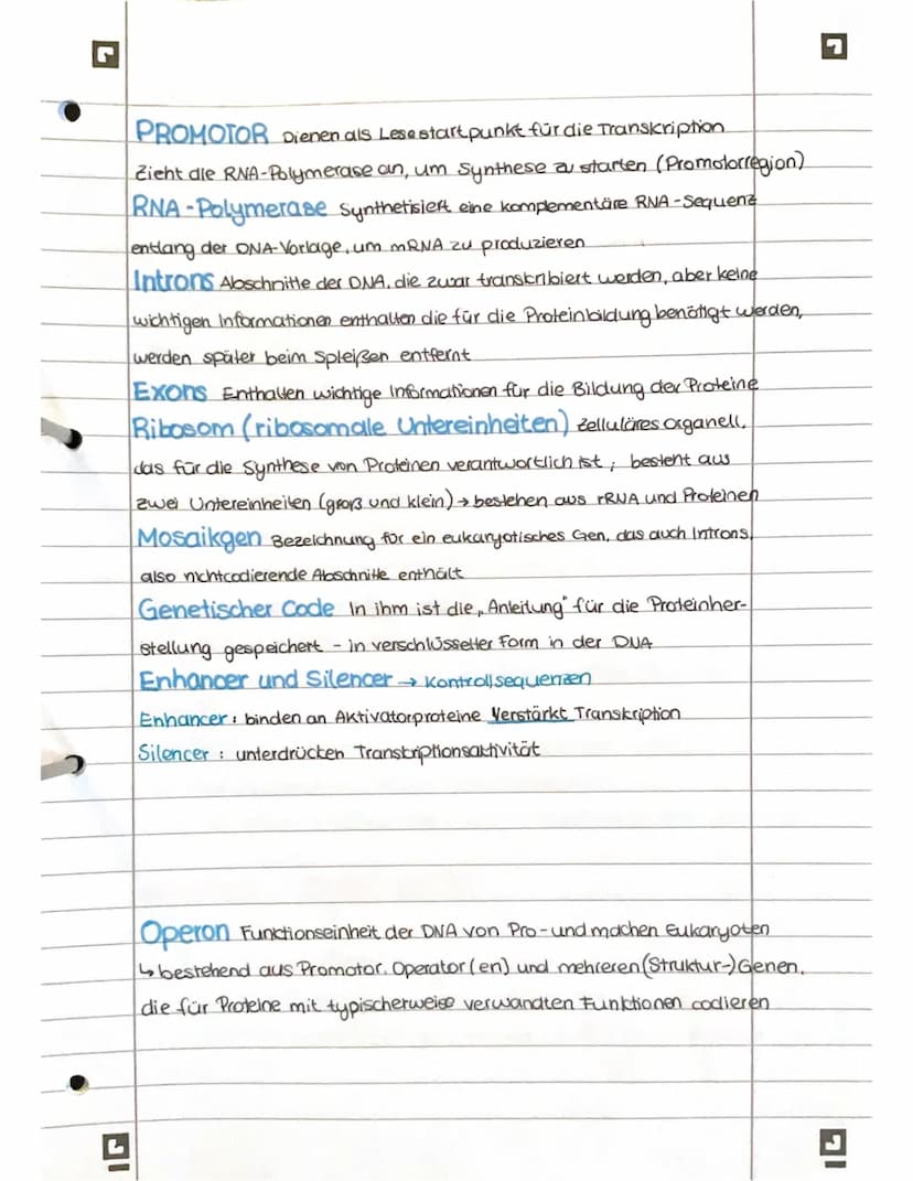 PROTEINBIOSYNTHESE
ABI 23 Hamburg IG
Bestandteile der Proteinbiosynthese
DNA Desoxyribonukleinsäure (DNS) Träger der genelischen Erbinformat