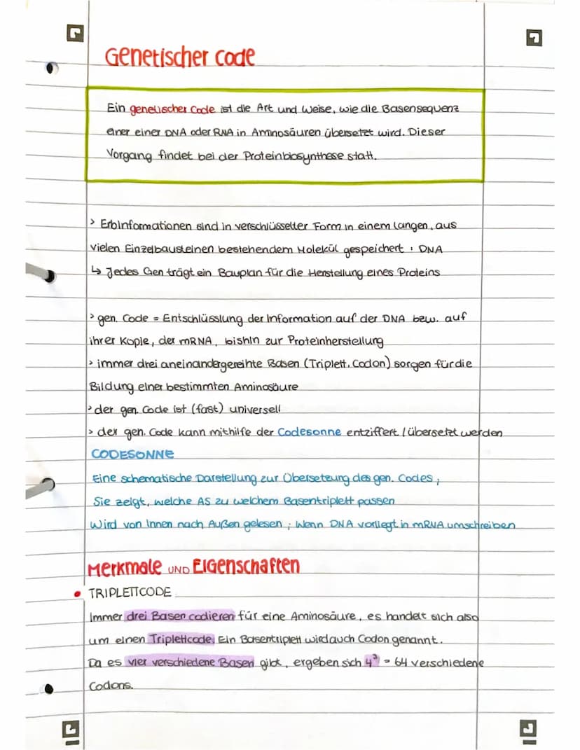 PROTEINBIOSYNTHESE
ABI 23 Hamburg IG
Bestandteile der Proteinbiosynthese
DNA Desoxyribonukleinsäure (DNS) Träger der genelischen Erbinformat