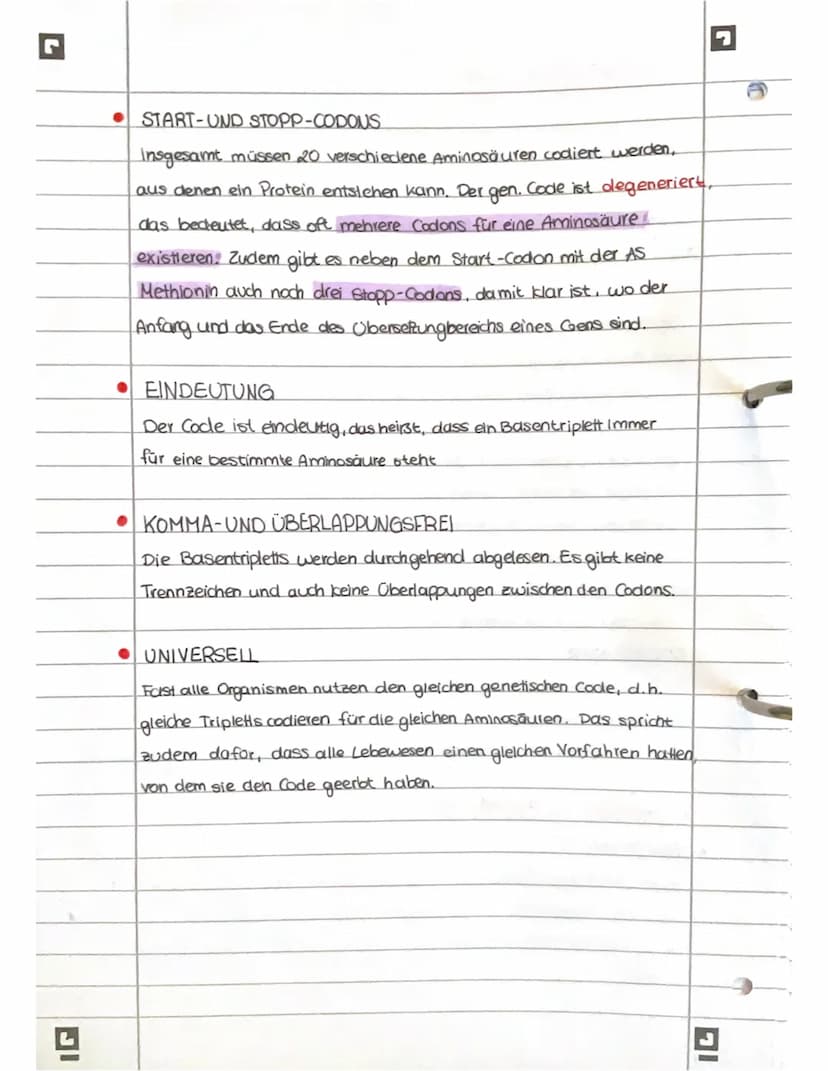 PROTEINBIOSYNTHESE
ABI 23 Hamburg IG
Bestandteile der Proteinbiosynthese
DNA Desoxyribonukleinsäure (DNS) Träger der genelischen Erbinformat