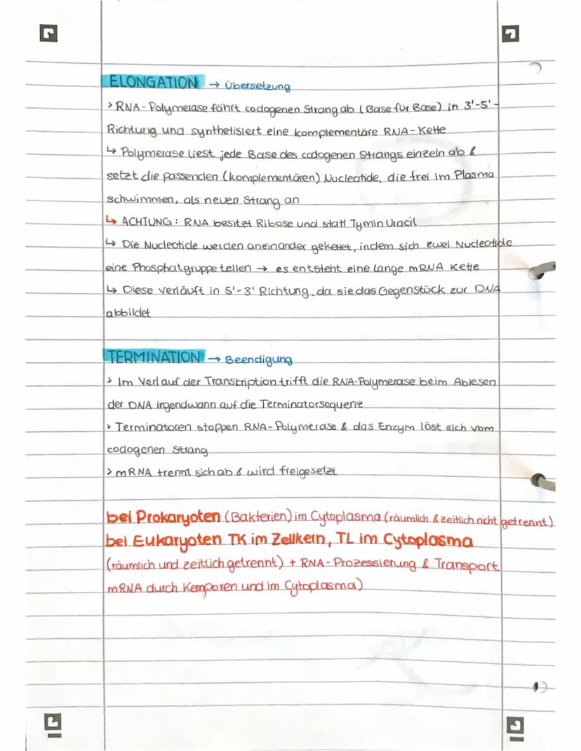 PROTEINBIOSYNTHESE
ABI 23 Hamburg IG
Bestandteile der Proteinbiosynthese
DNA Desoxyribonukleinsäure (DNS) Träger der genelischen Erbinformat