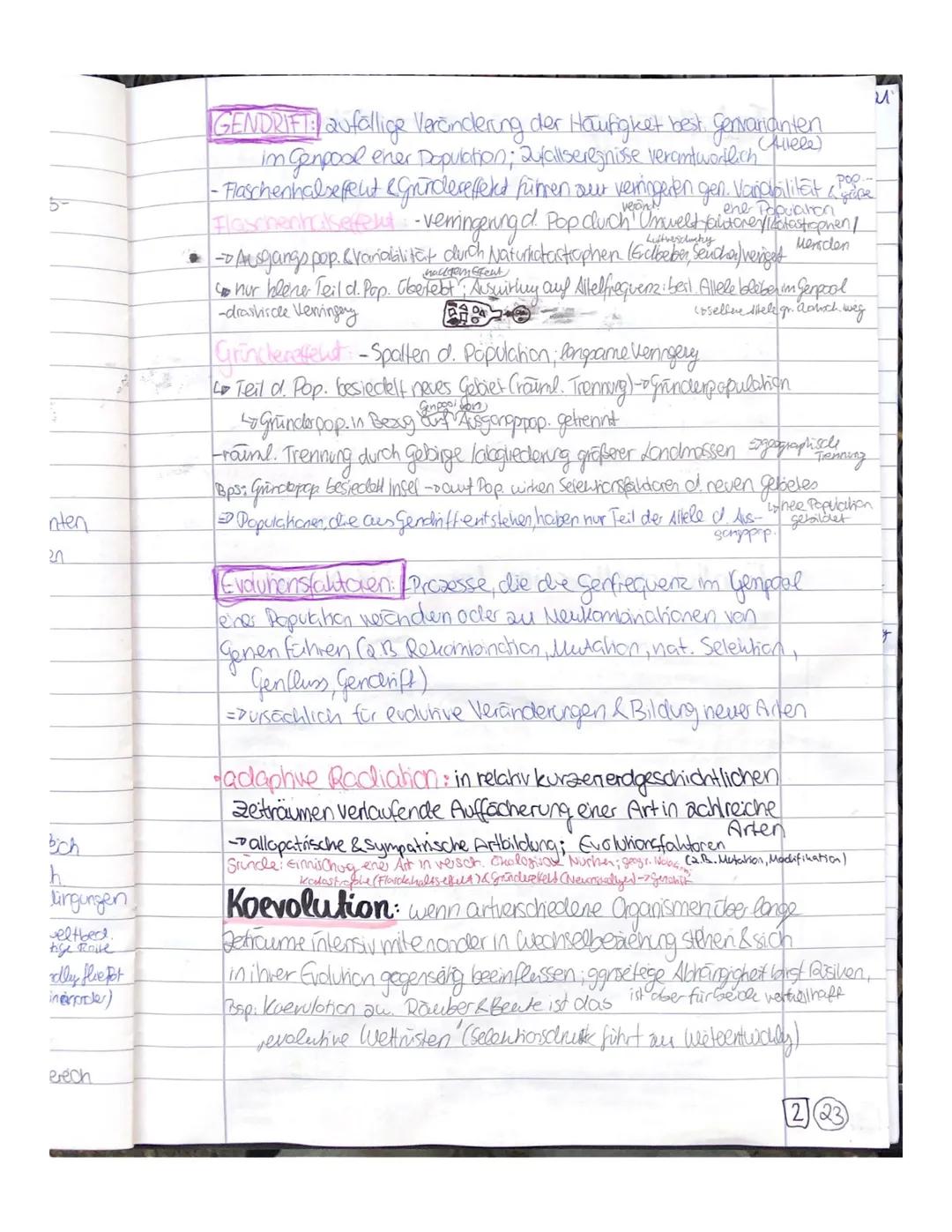 Block 3

Evolution

Prozess, der dem Zufall unterliegt! fragt nach dem
-DNA-Veränderungen fchrt avevduiven Prozess vewandschafts-
-durch ver