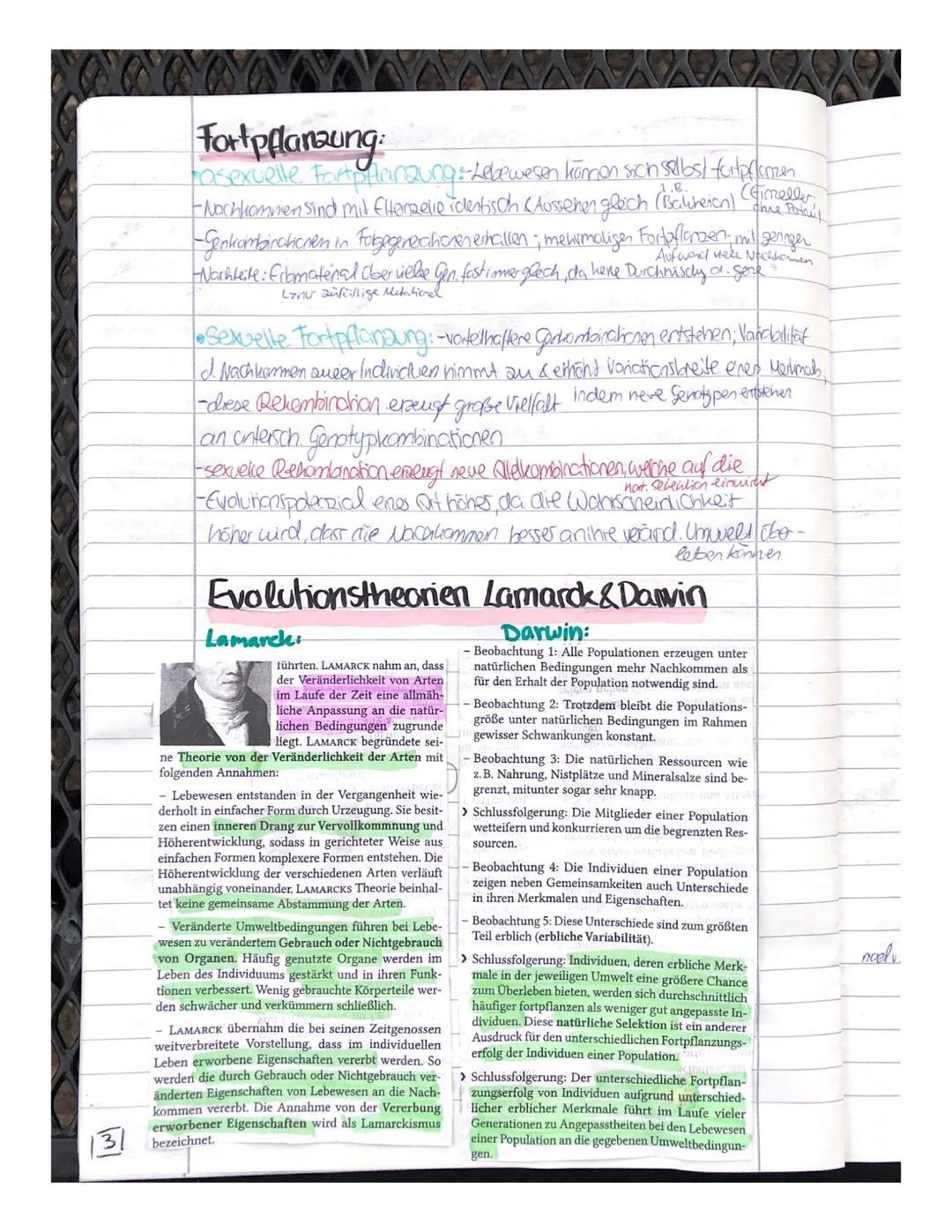Block 3

Evolution

Prozess, der dem Zufall unterliegt! fragt nach dem
-DNA-Veränderungen fchrt avevduiven Prozess vewandschafts-
-durch ver