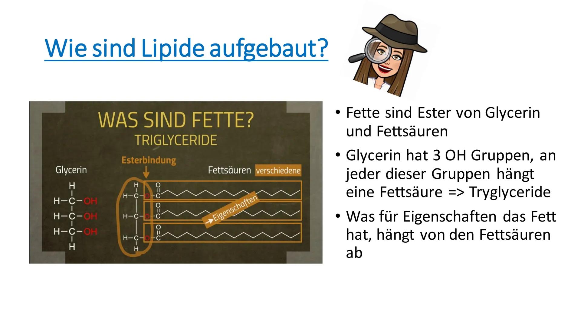 Lipide
81
^ Inhaltsverzeichnis
• Was sind Lipide?
• Wie sind Lipide aufgebaut?
●
Gesättigte - ungesättigte
Fettsäuren?
• Welche Funktionen h