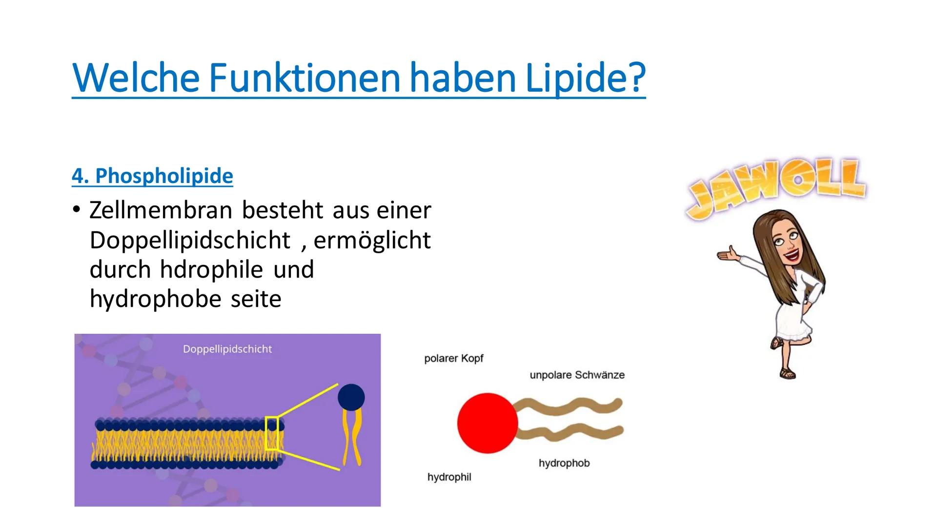 Lipide
81
^ Inhaltsverzeichnis
• Was sind Lipide?
• Wie sind Lipide aufgebaut?
●
Gesättigte - ungesättigte
Fettsäuren?
• Welche Funktionen h