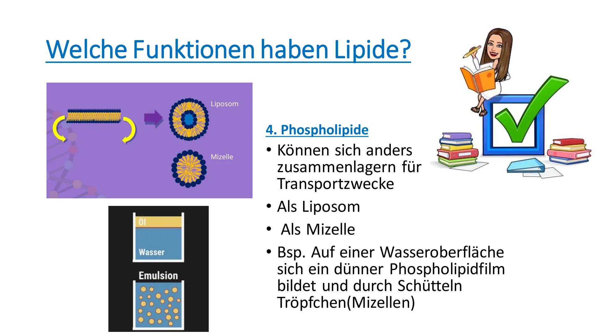 Lipide
81
^ Inhaltsverzeichnis
• Was sind Lipide?
• Wie sind Lipide aufgebaut?
●
Gesättigte - ungesättigte
Fettsäuren?
• Welche Funktionen h