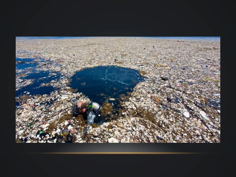 1. Ursachen
1.1 Plastik in Wasser
1.1.1 Plastikmüll in den Ozeanen
- jährlich landen 30 mio. Tonnen Kunststoff im Meer
1.1.2 Plastikinseln
H