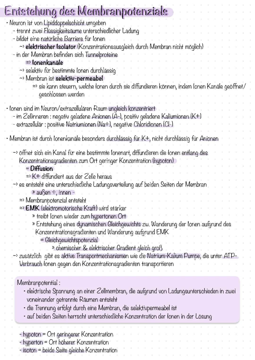 Signalübertragung innerhalb von Neuronen
