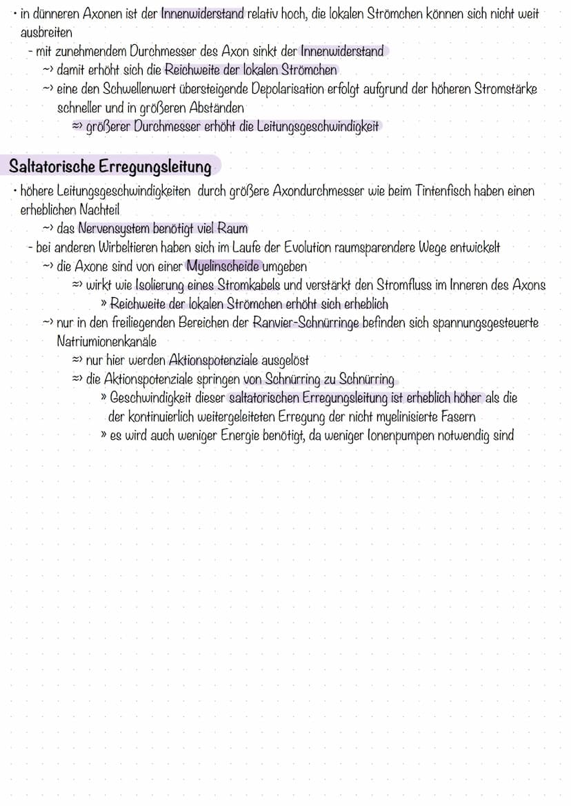 Entstehung des Membranpotenzials
Neuron ist von Lipiddoppelschicht umgeben
- trennt zwei Flüssigkeitsäume unterschiedlicher Ladung
- bildet 
