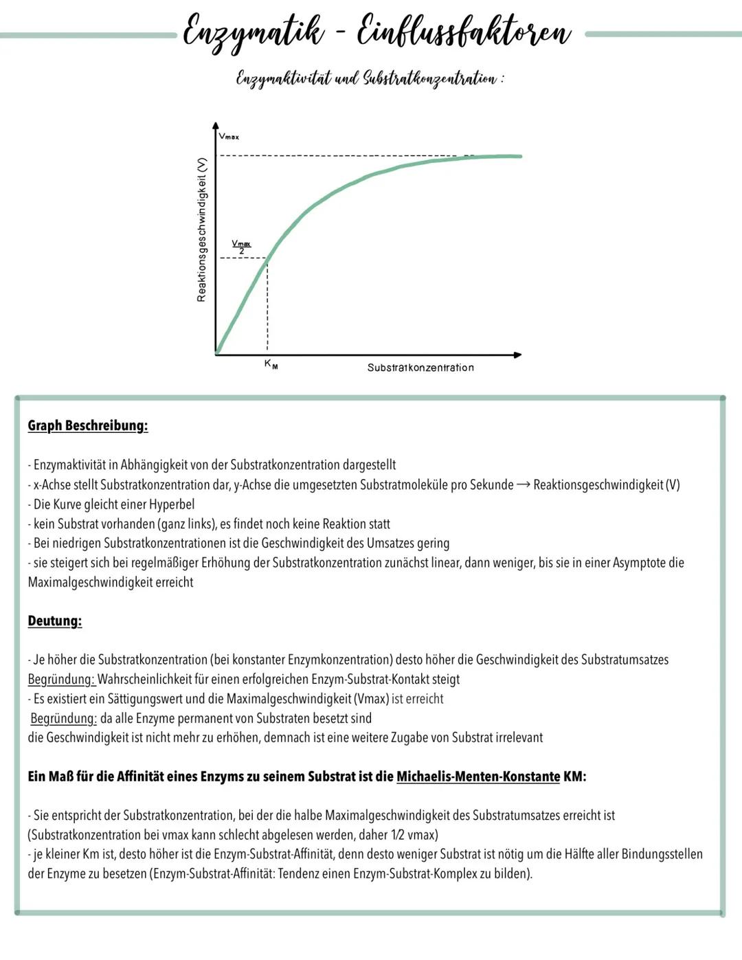 Entdecke die Enzyme: Temperatur und pH-Wert einfach erklärt!