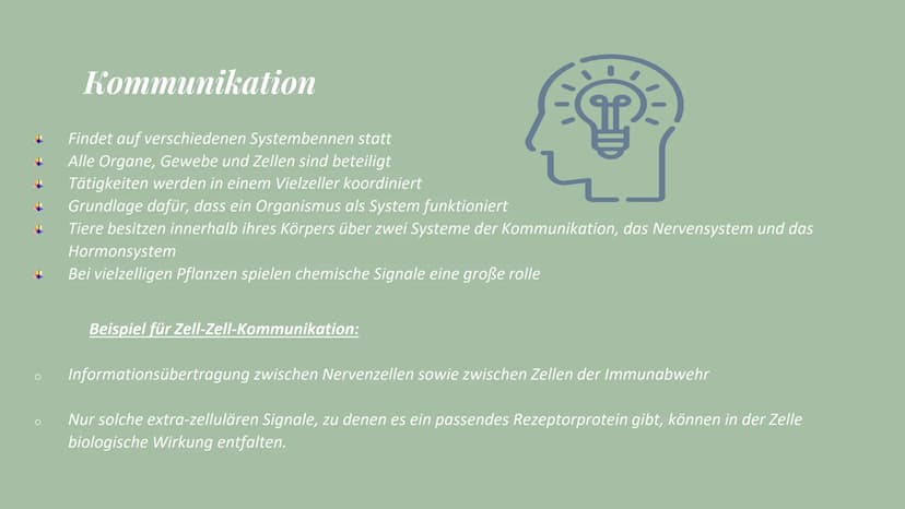 Bezeichnungen Entwicklung
Medizin Molekulstofuren Sciences Pflanzen
Organismen
Gesetzmäßigkeiten
Lebenswissenschaften
umfassend Charakters
B