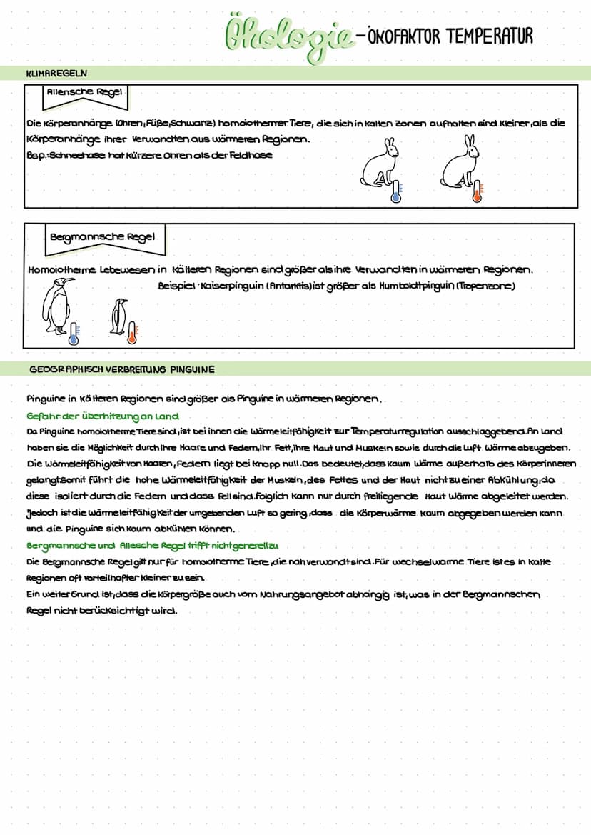 GLEICHWARME TIERE
CO
Chologie-
Der Begriff homoiotherm +beispielhafte Tiere
• Bei homoiothermen Tiere ist die Körpertemperatur von der Umgeb