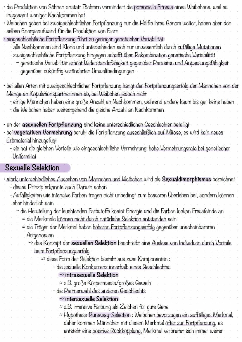 Selektion
Selektionsfaktoren
während der Industrialisierung konnte für etwa 100 Schmetterlingsarten eine Veränderung in der
Häufigkeitsverte