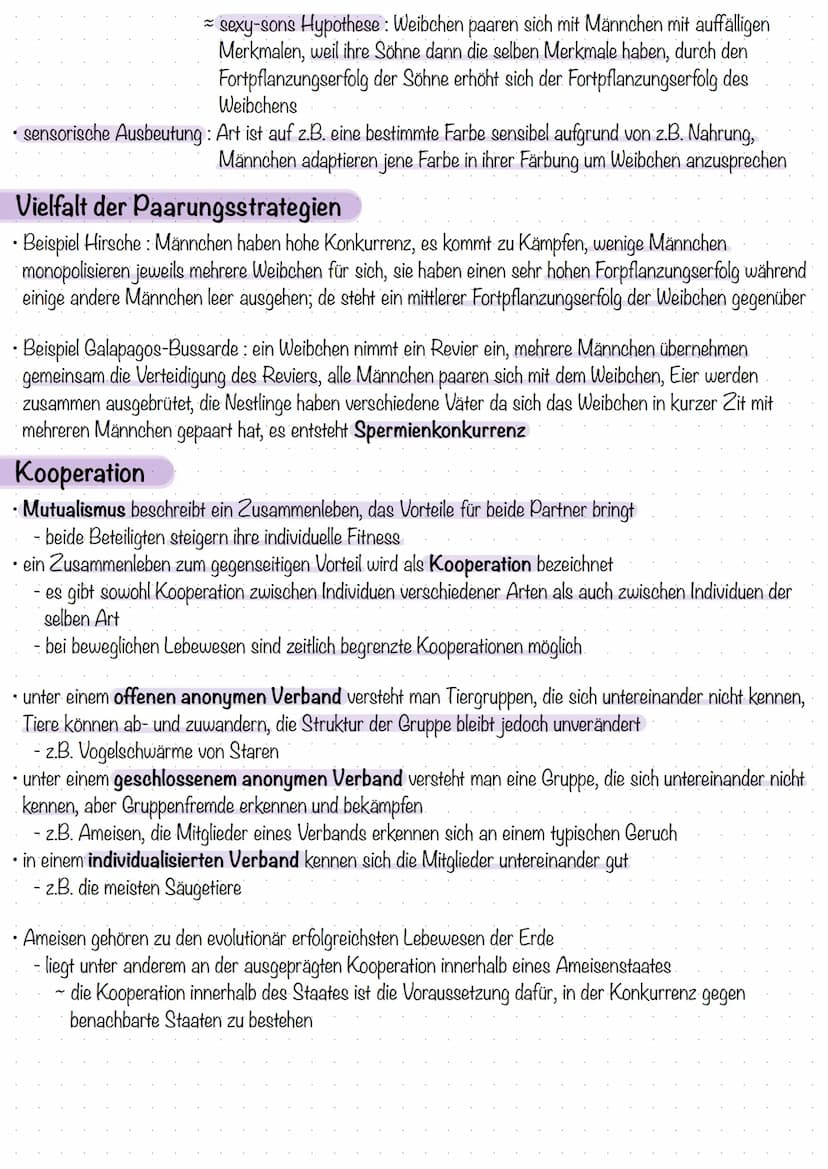 Selektion
Selektionsfaktoren
während der Industrialisierung konnte für etwa 100 Schmetterlingsarten eine Veränderung in der
Häufigkeitsverte