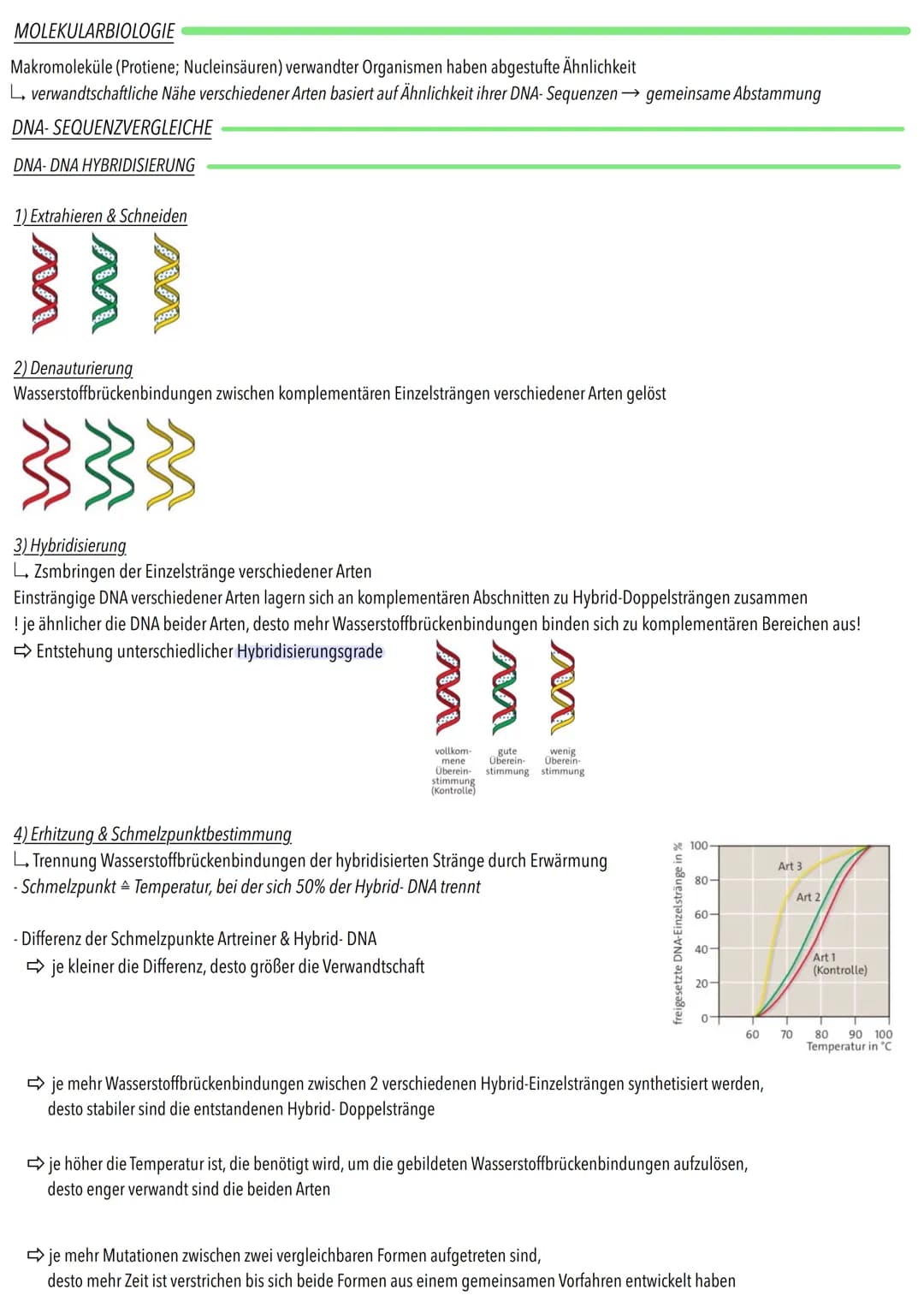 MOLEKULARBIOLOGIE
Makromoleküle (Protiene; Nucleinsäuren) verwandter Organismen haben abgestufte Ähnlichkeit
L verwandtschaftliche Nähe vers