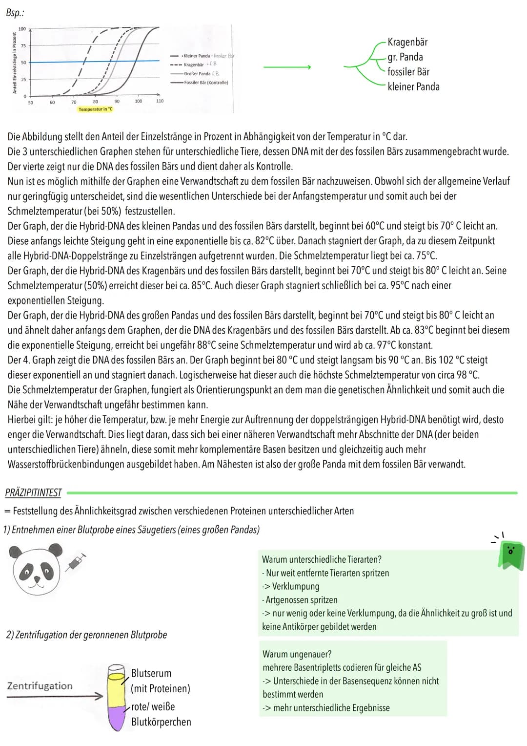 MOLEKULARBIOLOGIE
Makromoleküle (Protiene; Nucleinsäuren) verwandter Organismen haben abgestufte Ähnlichkeit
L verwandtschaftliche Nähe vers