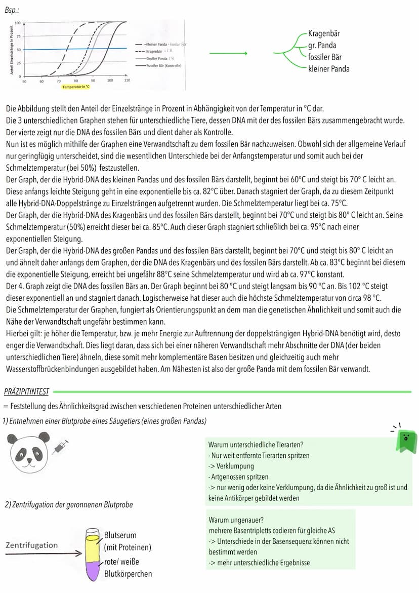 MOLEKULARBIOLOGIE
Makromoleküle (Protiene; Nucleinsäuren) verwandter Organismen haben abgestufte Ähnlichkeit
L verwandtschaftliche Nähe vers
