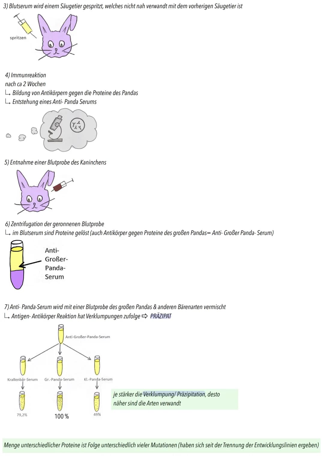 MOLEKULARBIOLOGIE
Makromoleküle (Protiene; Nucleinsäuren) verwandter Organismen haben abgestufte Ähnlichkeit
L verwandtschaftliche Nähe vers