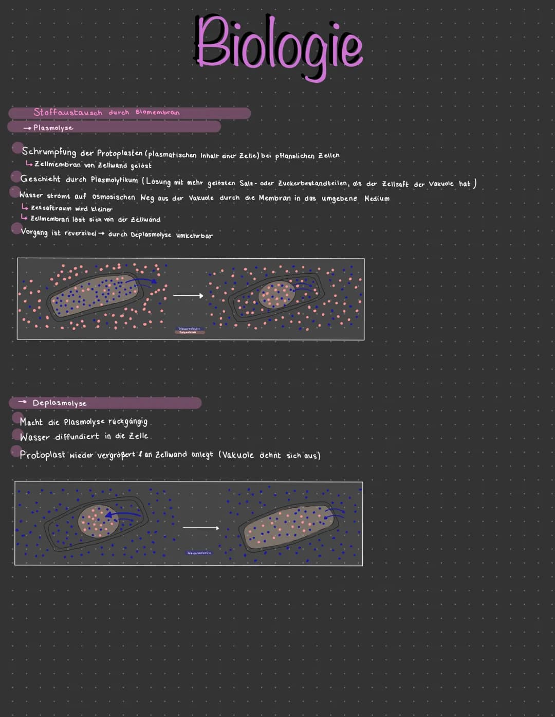  PFLANZLICHE ZELLE.
aufbau
Cytoplasma
• Chloroplast
Zellkern mit.
Nuceoles
Golgi-apparat
Vakuole
Zellwand,
Biologie
Dictyosom
Endoplasmatisc