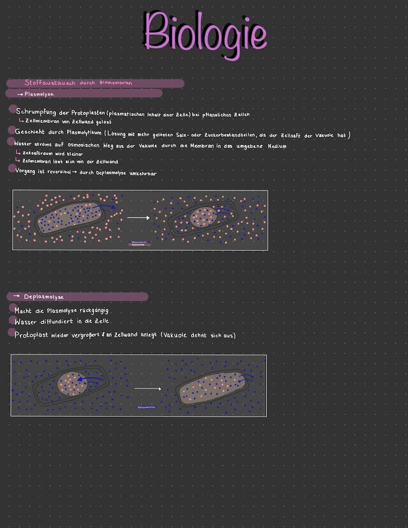 PFLANZLICHE ZELLE.
aufbau
Cytoplasma
• Chloroplast
Zellkern mit.
Nuceoles
Golgi-apparat
Vakuole
Zellwand,
Biologie
Dictyosom
Endoplasmatisc