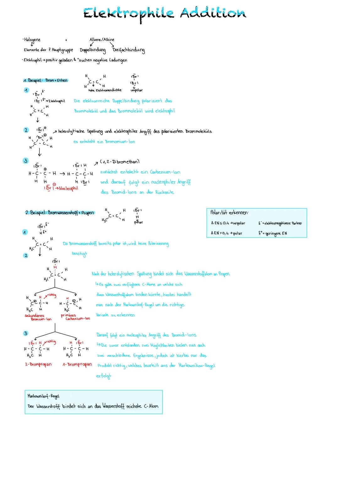 • Halogene
Elemente der 7. Hauptgruppe Doppelbindung Dreifachbindung
• Elektrophil → positiv geladen & "suchen negative Ladungen
1. Beispiel