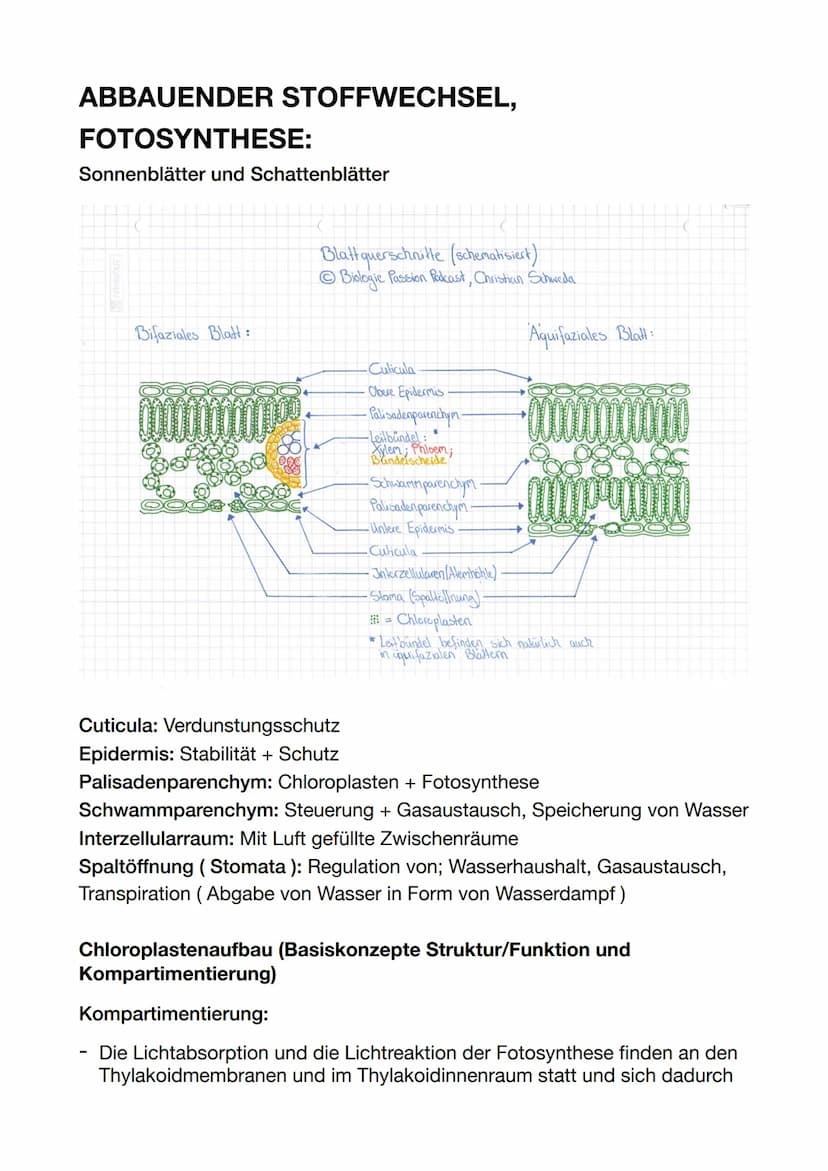 ENZYMATIK:
Allosterische Hemmung:
Der Hemmstoff bindet nicht am aktiven Zentrum des Enzyms, sondern an
einer anderen Stelle
-
Bio ABI
Dadurc