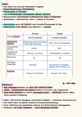 Know  Zellen / Zelltheorie / Zellorganellen / Diffusion Osmose / Endosymbionten / Biomembran / Endomembransystem / Proteine thumbnail