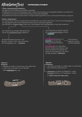 Know Membranfluss thumbnail