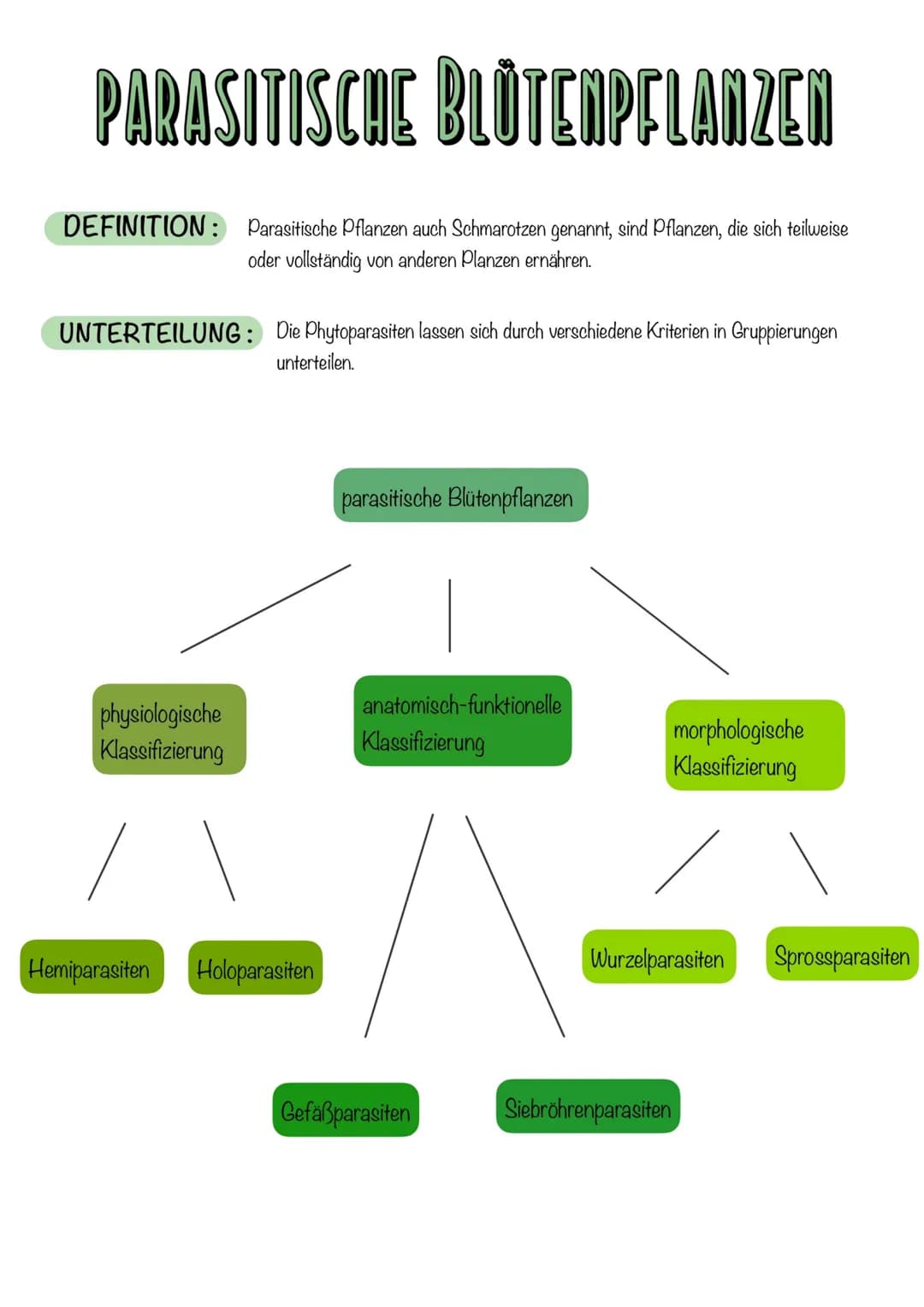 PARASITISCHE BLÜTENPFLANZEN
DEFINITION: Parasitische Pflanzen auch Schmarotzen genannt, sind Pflanzen, die sich teilweise
oder vollständig v