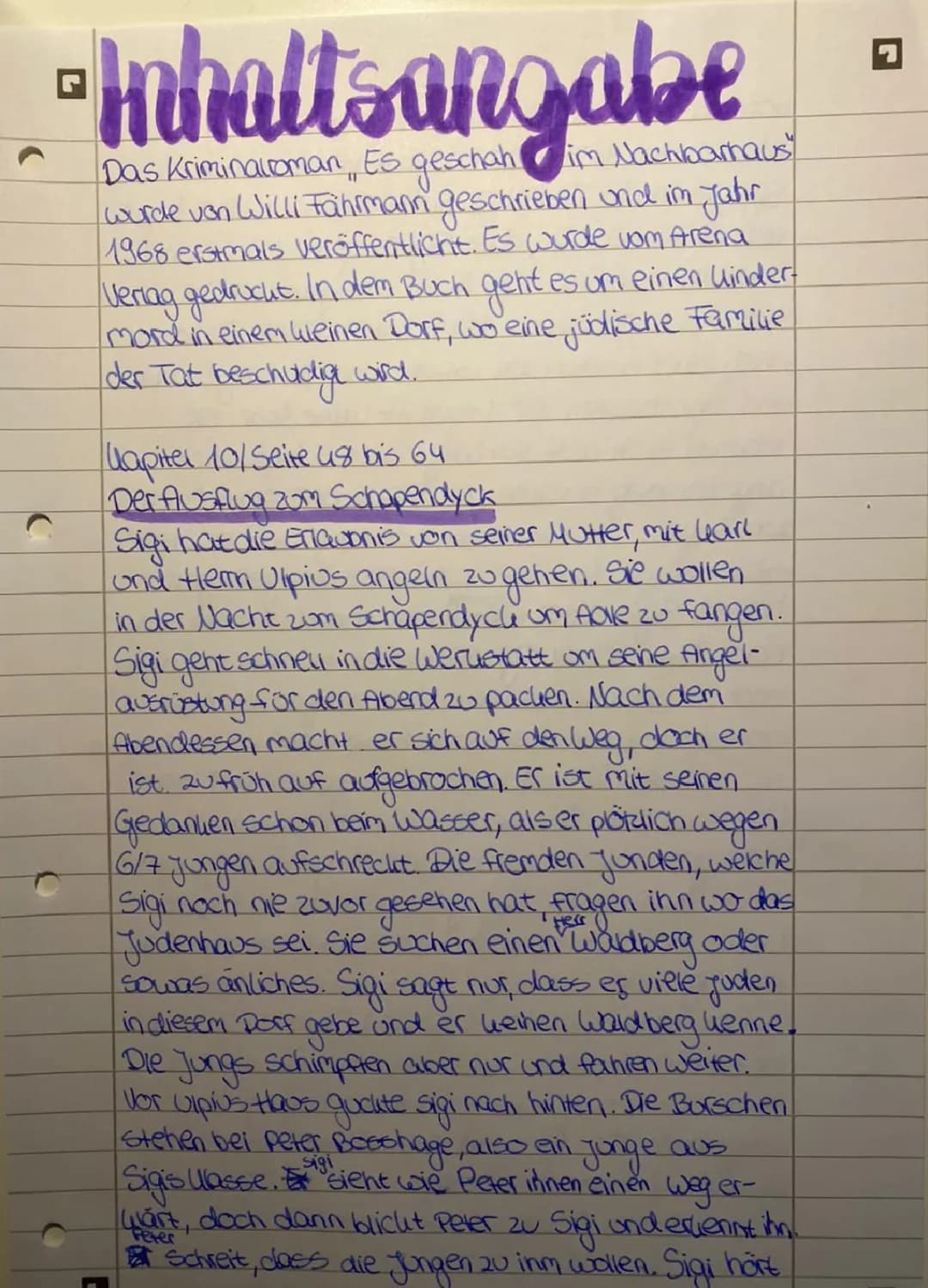 Es geschah im Nachbarhaus: Kapitel 14 Zusammenfassung und Charakterisierung von Karl & Sigi