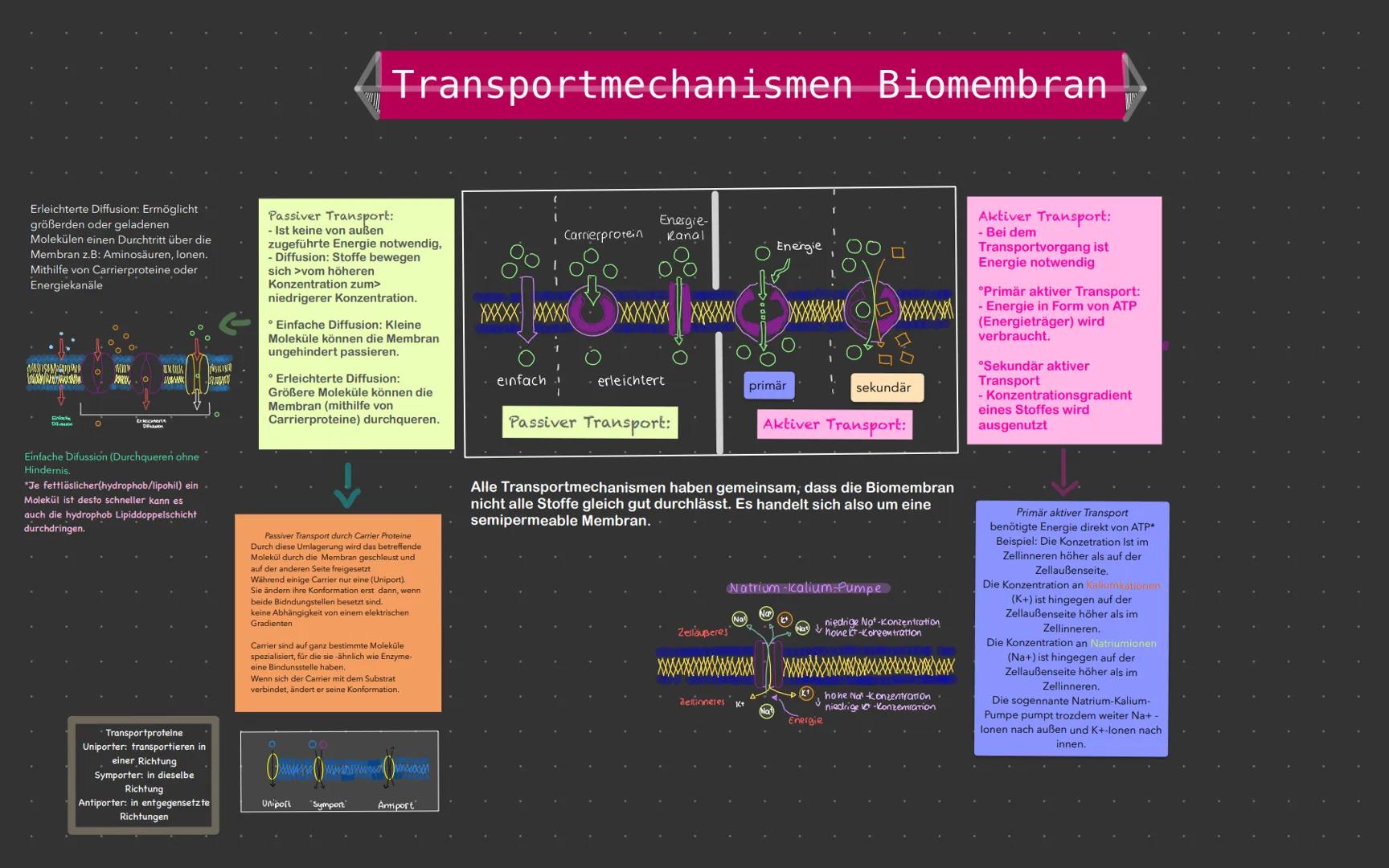 # Transportmechanismen Biomembran

Erleichterte Diffusion: Ermöglicht
größerden oder geladenen
Molekülen einen Durchtritt über die
Membran z