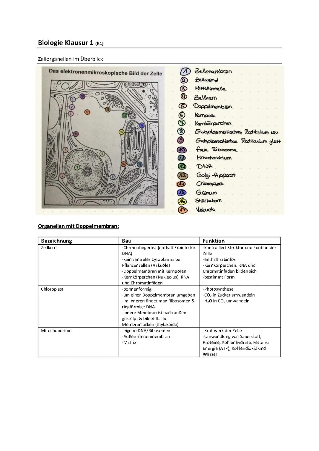 Biologie KA 1 