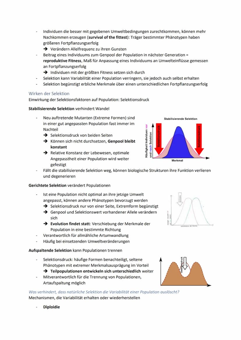 Synthetische Evolutionstheorie
Synthese der Theorien Darwins mit Erkenntnissen aus fast allen Bereichen der Biologie
Population steht im Zen