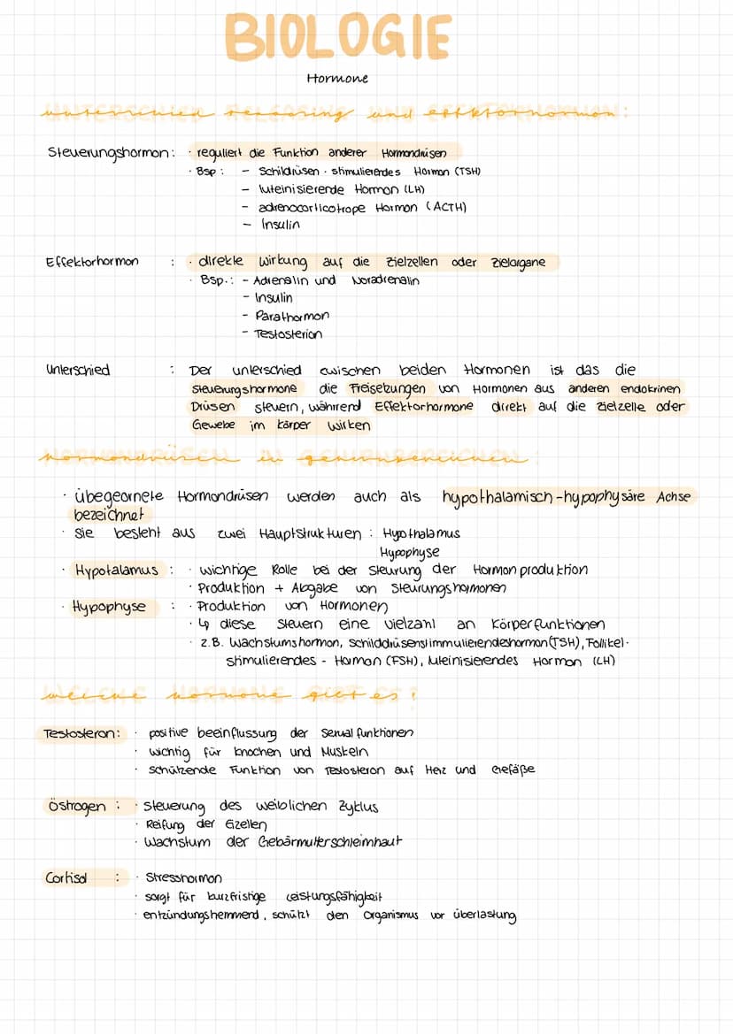 WAS IST EIN HORMON?
Definition : Hormone
Allgemeines:
Funktion:
Bildung
BIOLOGIE
Hormone
biochemische Bolenstoffe, die von spezialisierten
H