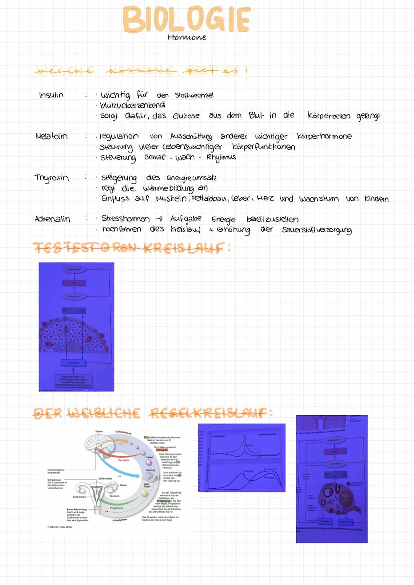 WAS IST EIN HORMON?
Definition : Hormone
Allgemeines:
Funktion:
Bildung
BIOLOGIE
Hormone
biochemische Bolenstoffe, die von spezialisierten
H