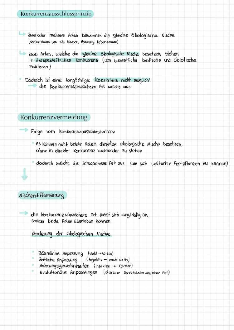 Know Konkurrenz (Ökologie) thumbnail