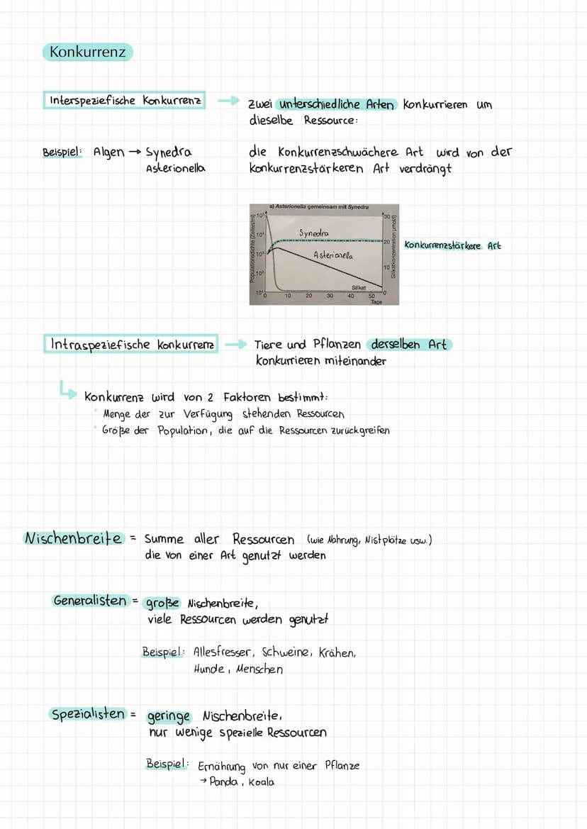 Konkurrenzausschlussprinzip
Zwei oder mehrere Arten bewohnen die gleiche ökologische Nische
(Konkurrieren um z.B. Wasser, Nahrung, Lebensrau