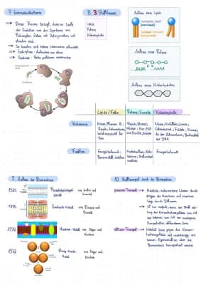 Know Biologie - Zellen und Stoffklassen thumbnail