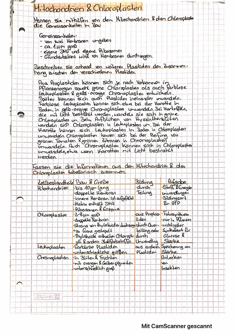 C
(
Mitochondrien & Chloroplasten
Pennen sie mithilfen von dem Mitochondrien & den Chloroplast
die Gemeinsamkeiten im Bau
Gemeinsamkalen
- v