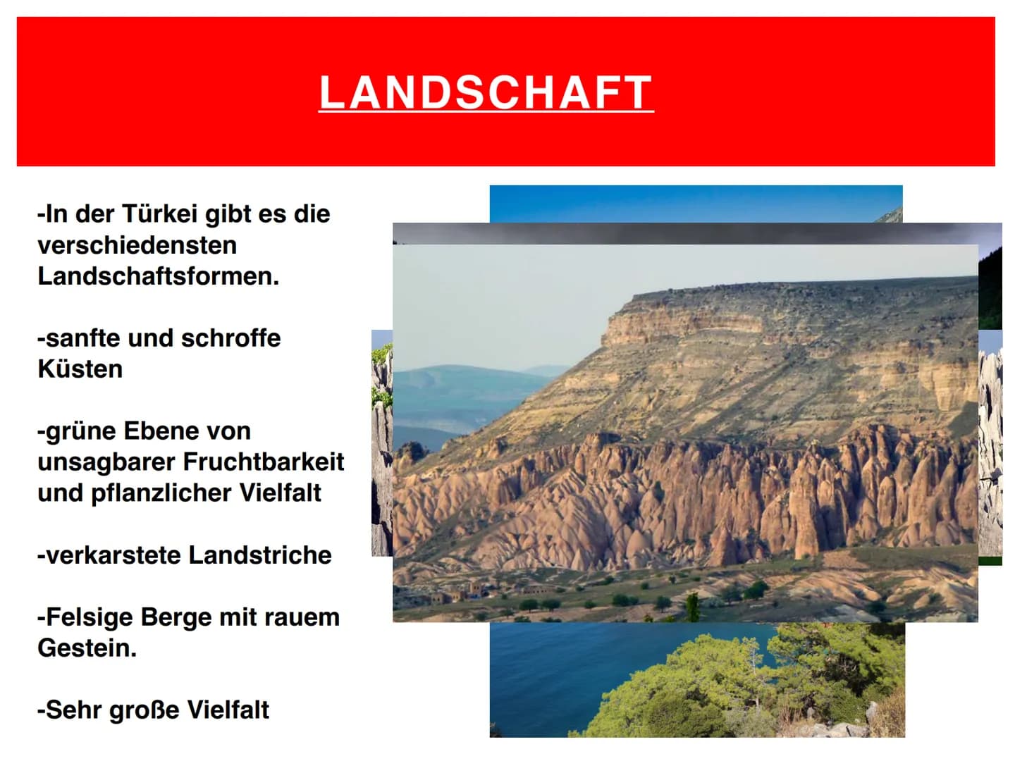 Die Türkei
C+
Agenda
Allgemeine
Informationen
-Informationen über
die Türkei
-Der Türkische
Präsident
Geographische Lag
-Landschaft
Klimadia