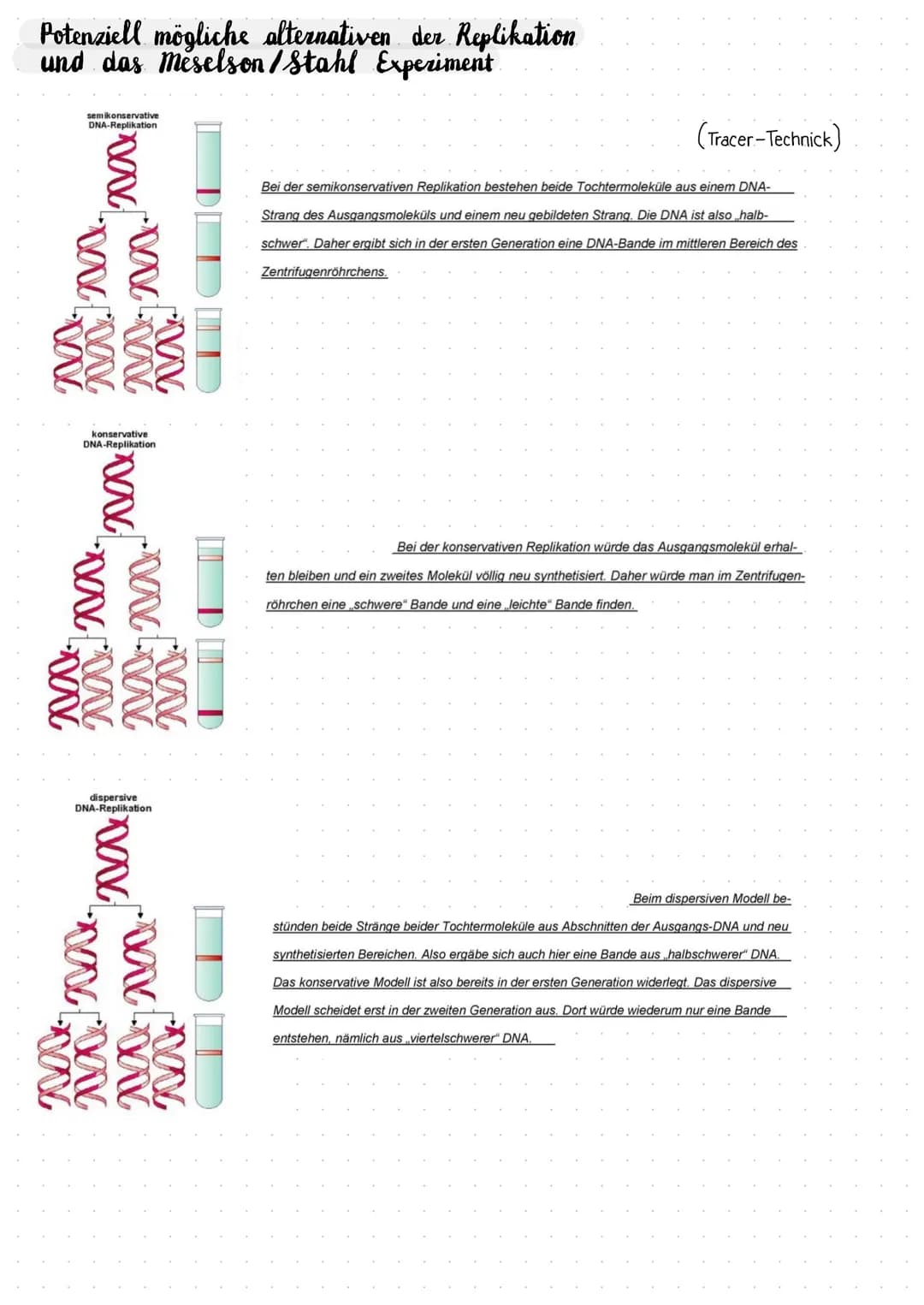 Biologie Lernzettel Aufbau der DNA
Adenin
5' Ende
Phosphat-
desoxyribose
Rückgrat
Thymin
3' Ende
Guanin
Ende
Cytosin
Desoxyribonuklein- cid
