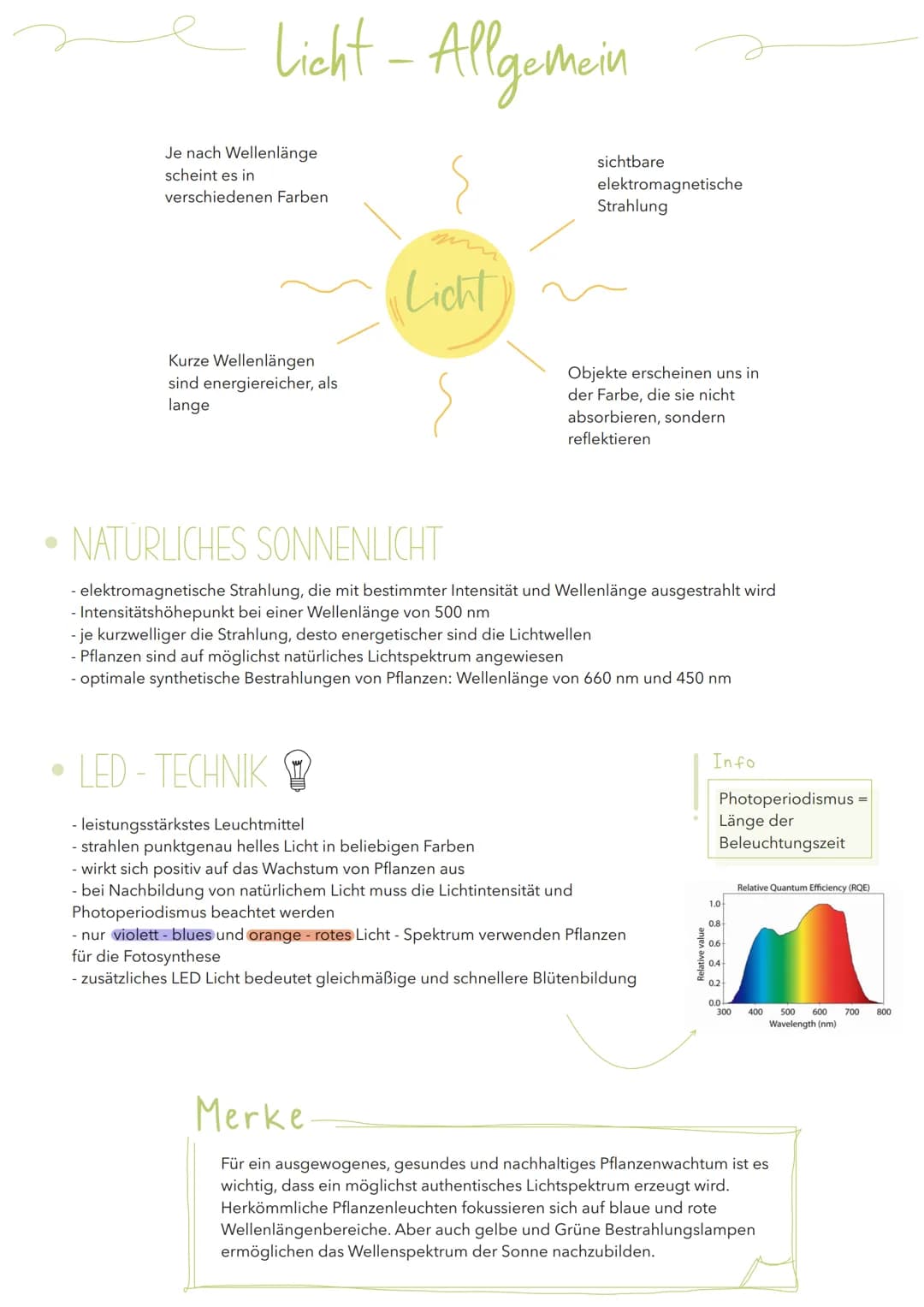 Abiotischer Umweltfaktor Licht
AUSWIRKUNGEN AUF PFLANZLICHE ORGANISMEN
Allgemein
Bei Pflanzen liefert Licht die Energie für die Fotosynthese