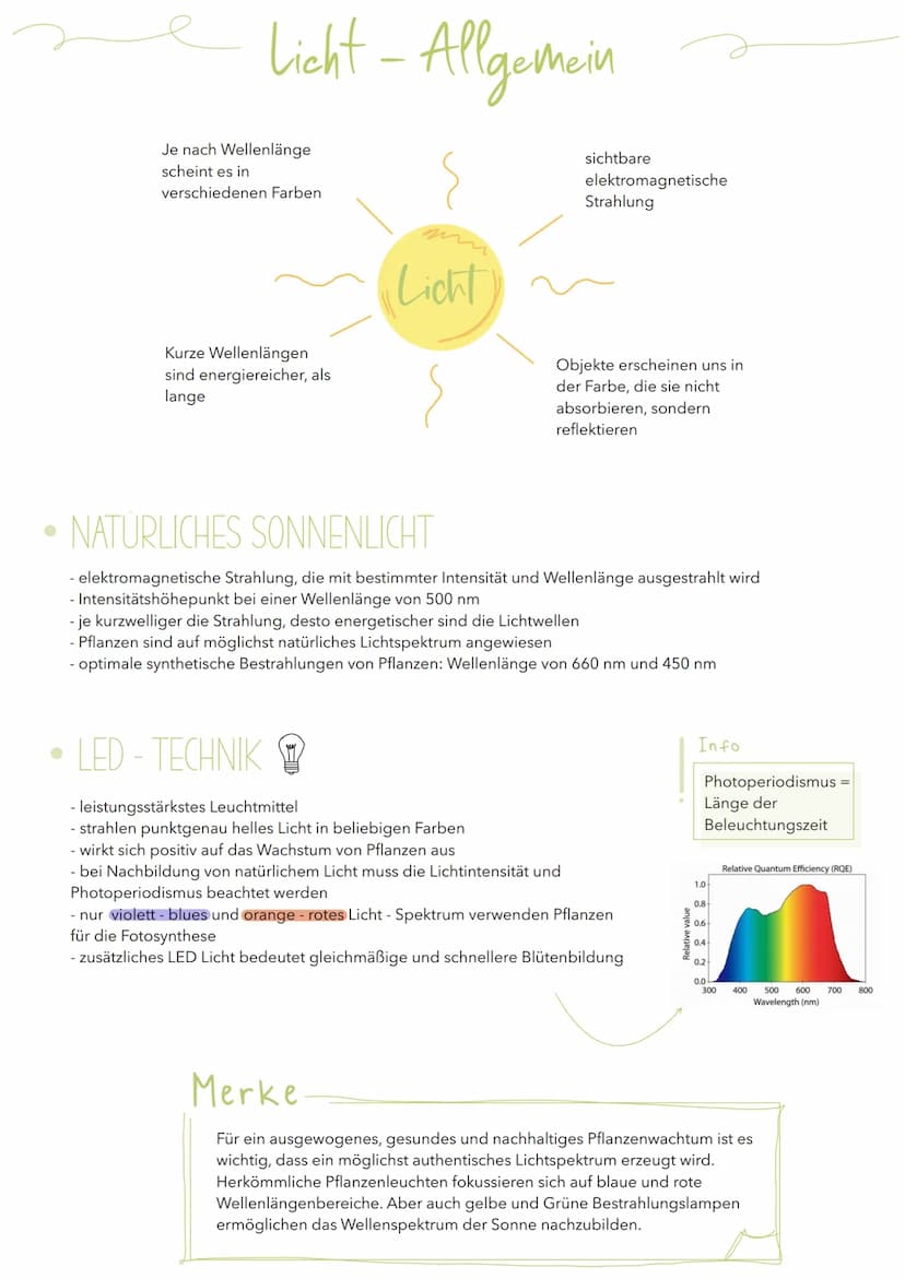 Abiotischer Umweltfaktor Licht
AUSWIRKUNGEN AUF PFLANZLICHE ORGANISMEN
Allgemein
Bei Pflanzen liefert Licht die Energie für die Fotosynthese